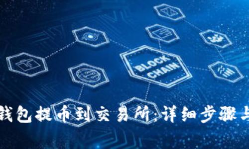 如何从TP钱包提币到交易所：详细步骤与注意事项