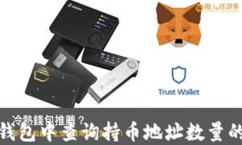 
如何在TP钱包中查询持币地址数量的详细步骤