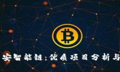 了解TP币安智能链：优质项目分析与投资前景