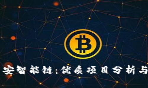 了解TP币安智能链：优质项目分析与投资前景