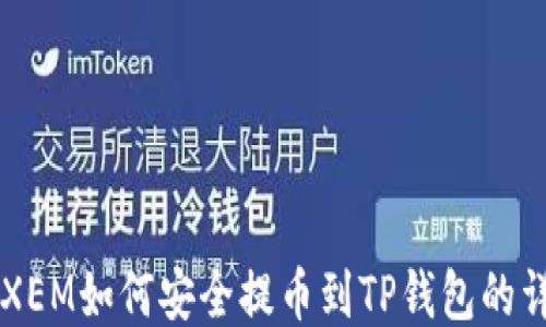 
新经币XEM如何安全提币到TP钱包的详细指南