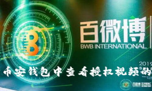 如何在TP币安钱包中查看授权视频的详细步骤